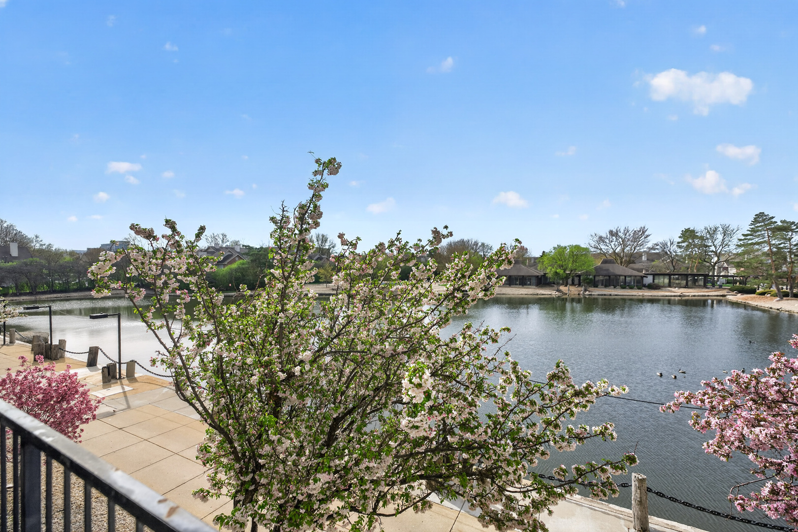 2015 S Finley Road Unit: 209