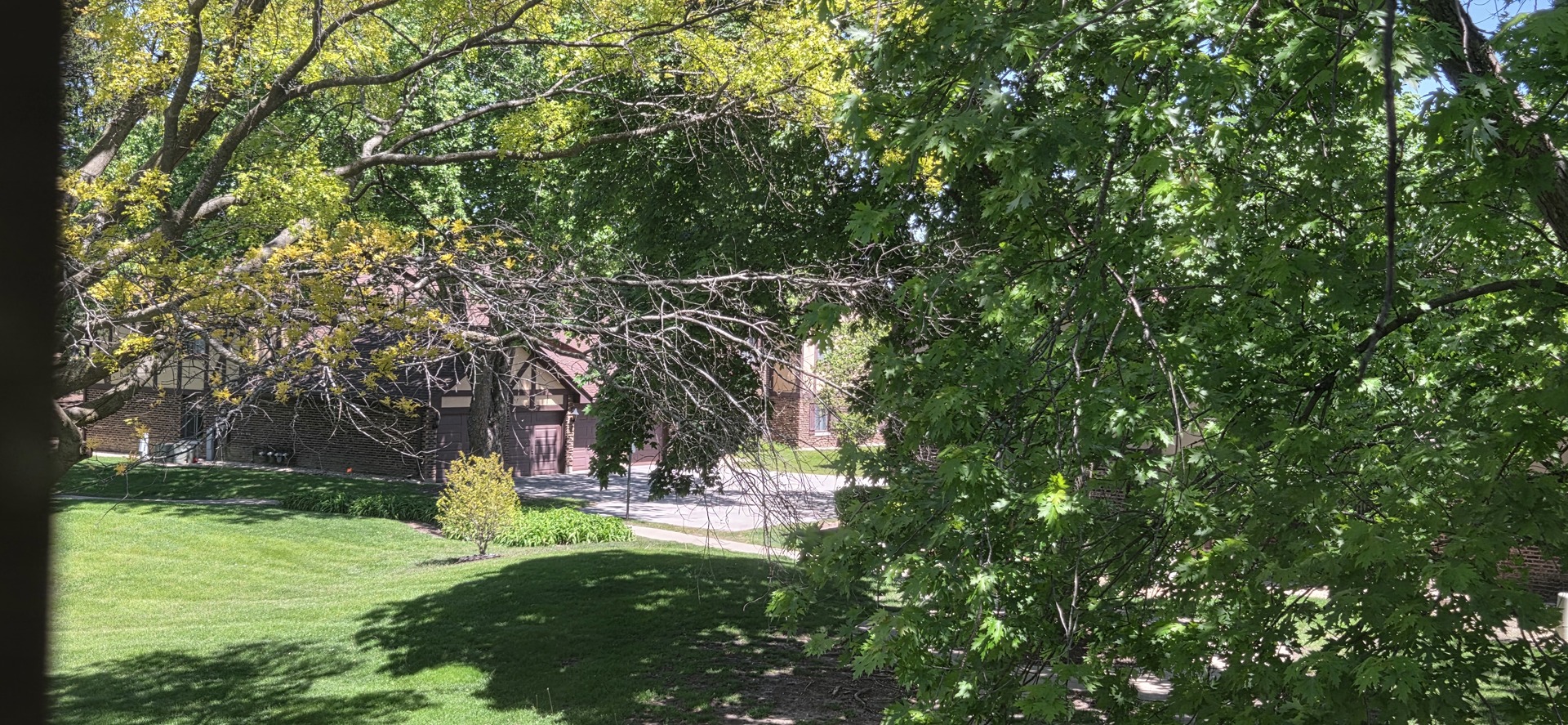 1751 Plymouth Court Unit: B