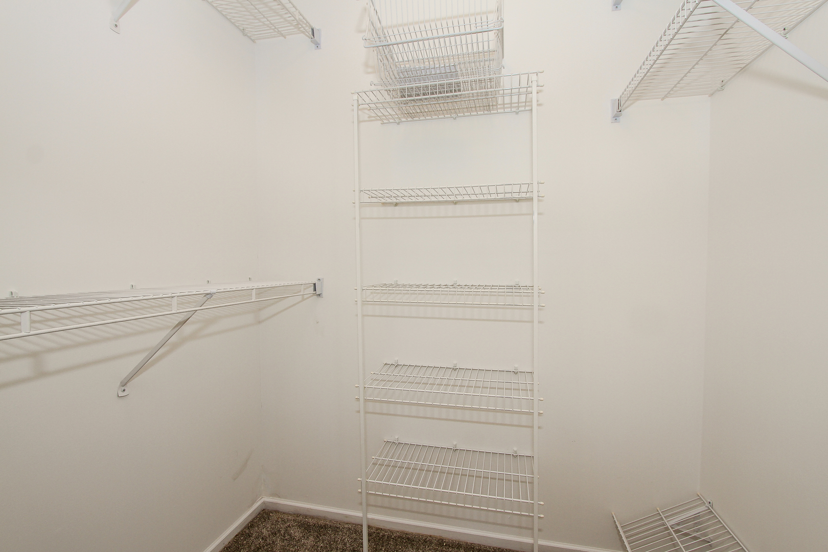 446 Cromwell Circle Unit: 1