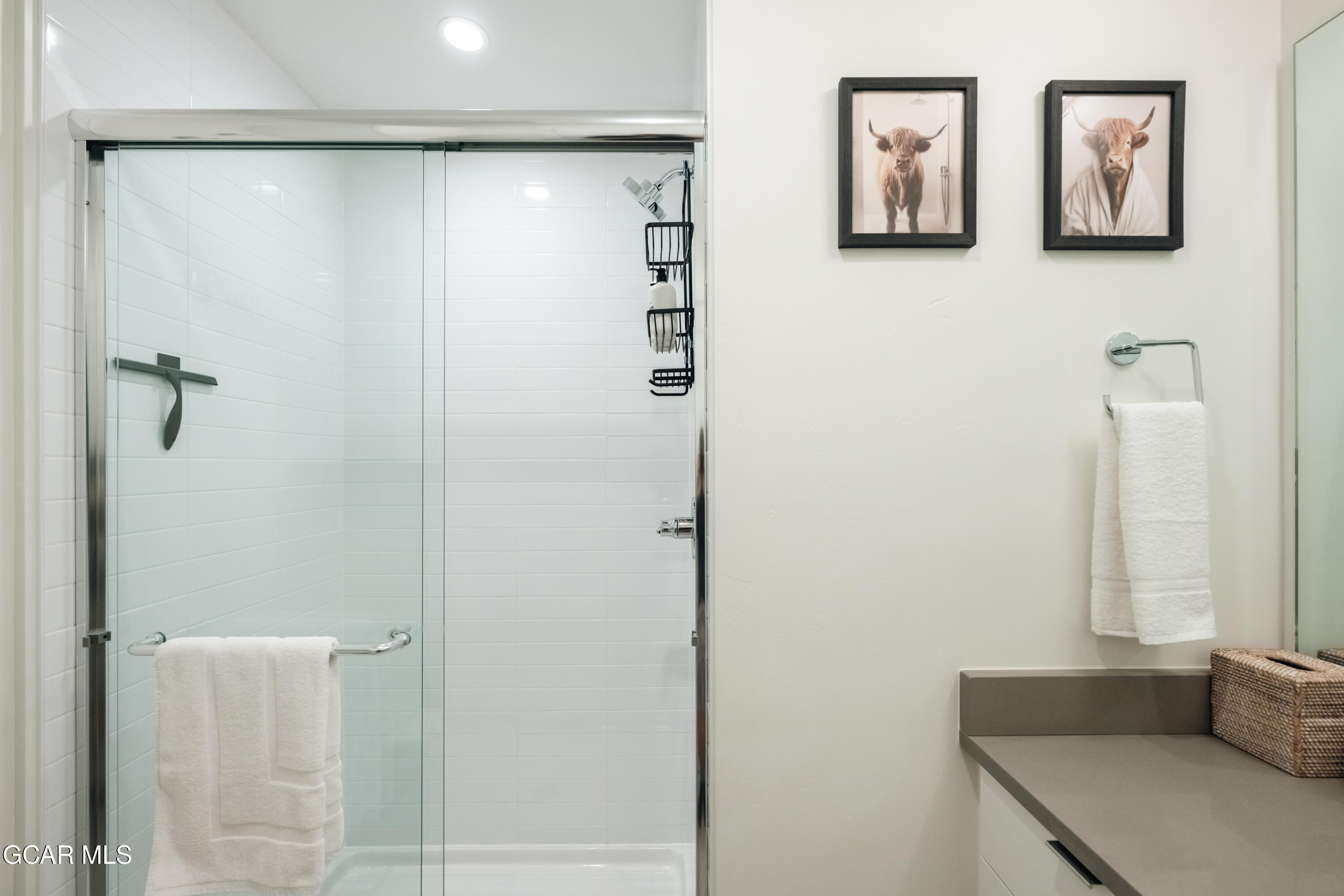 261 West Meadow Mile 3