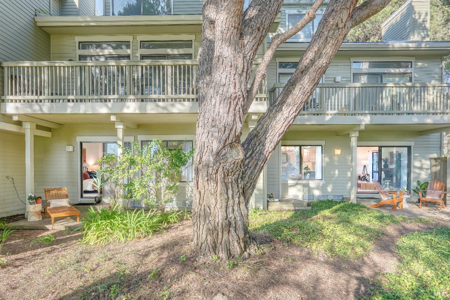 50 Eucalyptus Knoll St