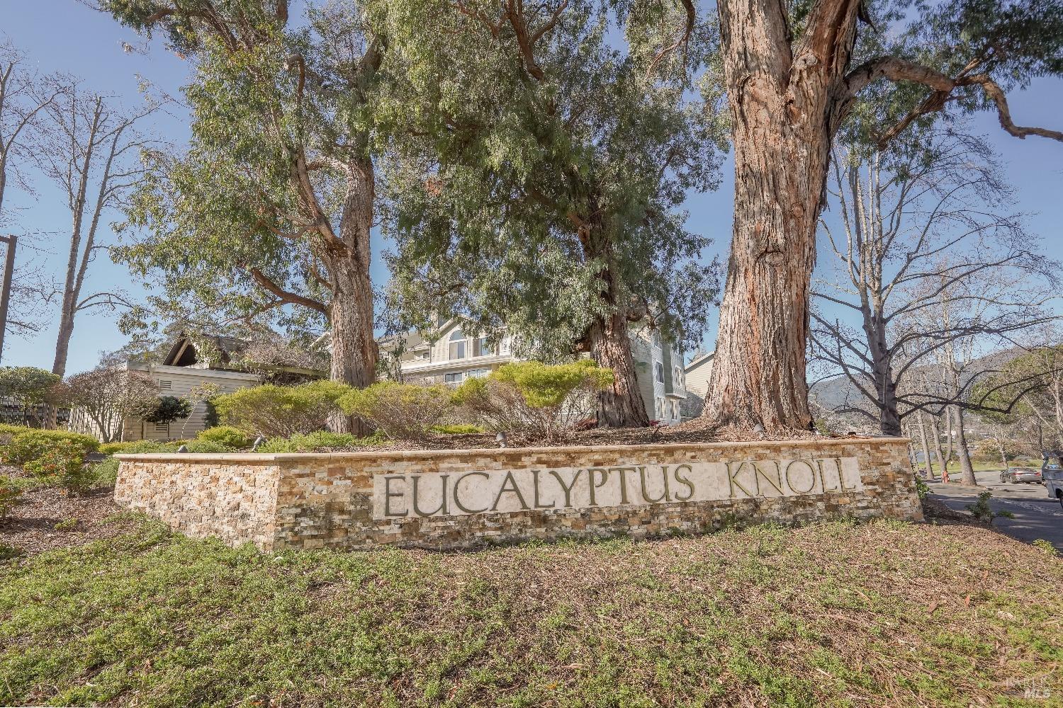 50 Eucalyptus Knoll St