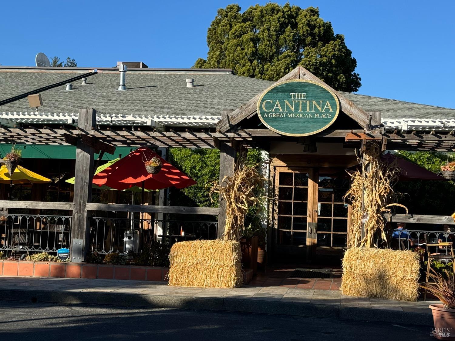 50 Eucalyptus Knoll St