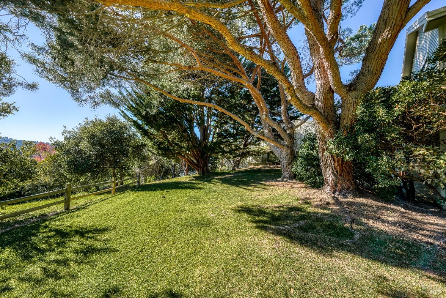 50 Eucalyptus Knoll St