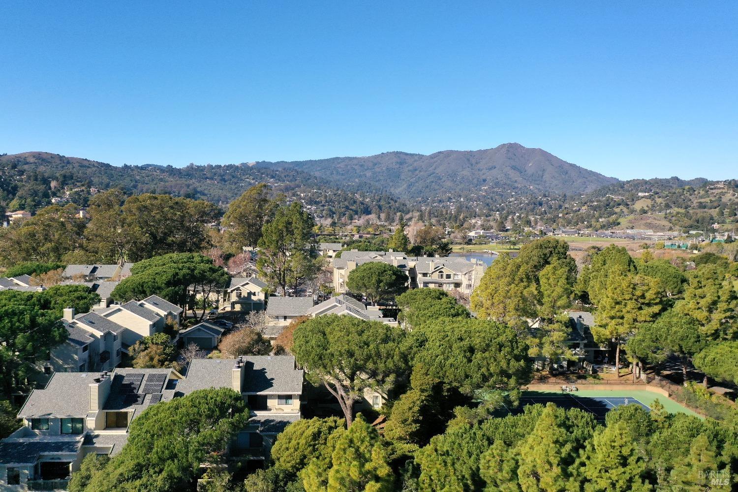 50 Eucalyptus Knoll St