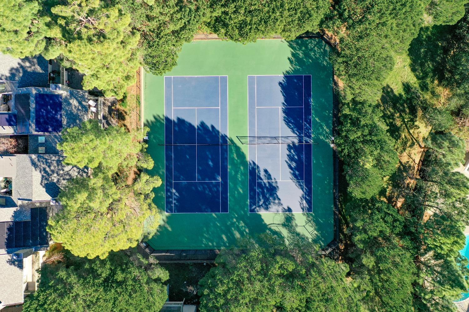 50 Eucalyptus Knoll St