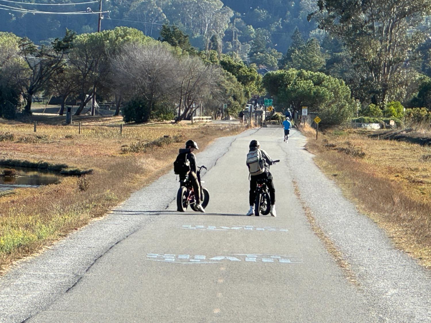 50 Eucalyptus Knoll St