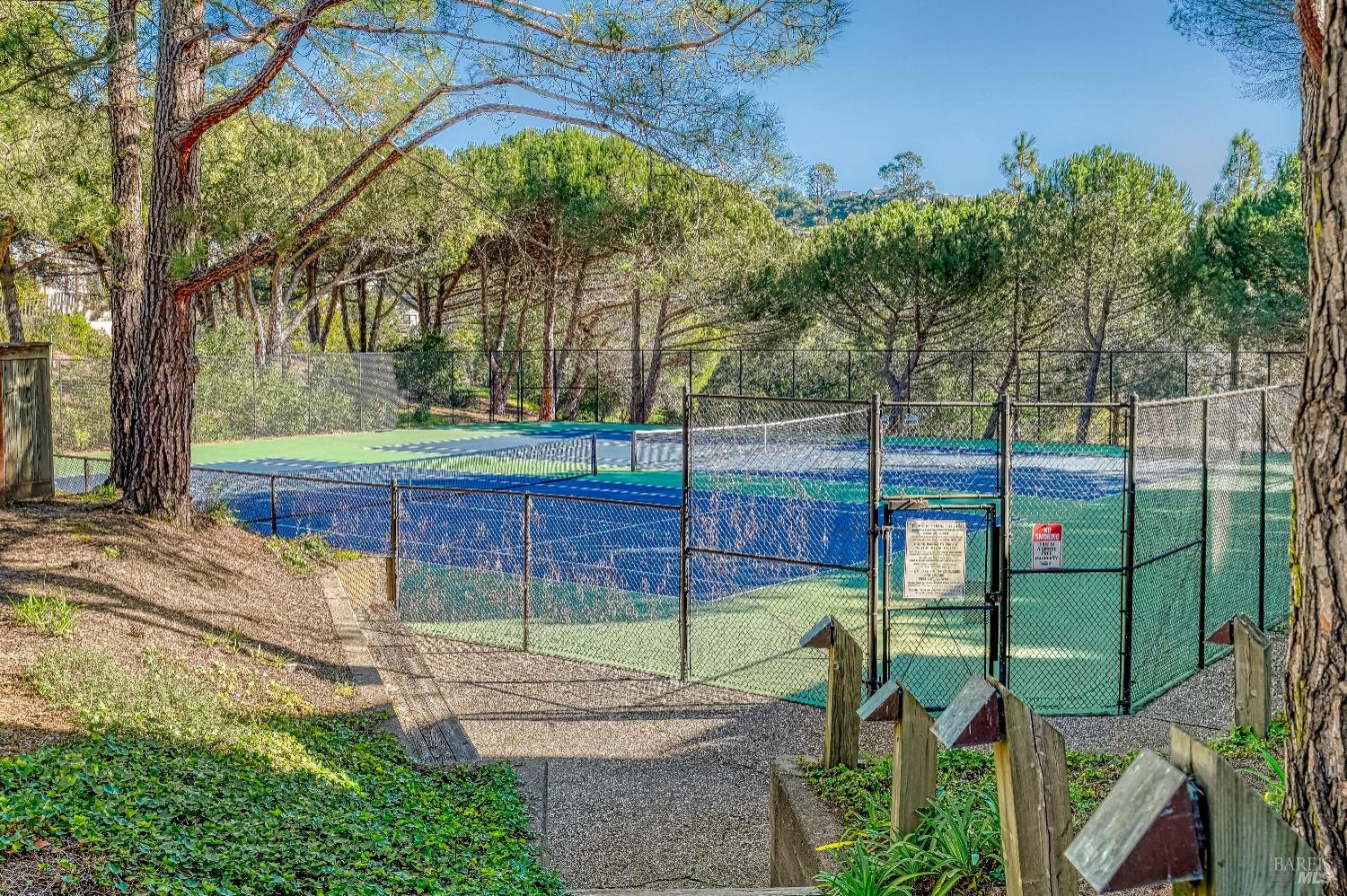 50 Eucalyptus Knoll St