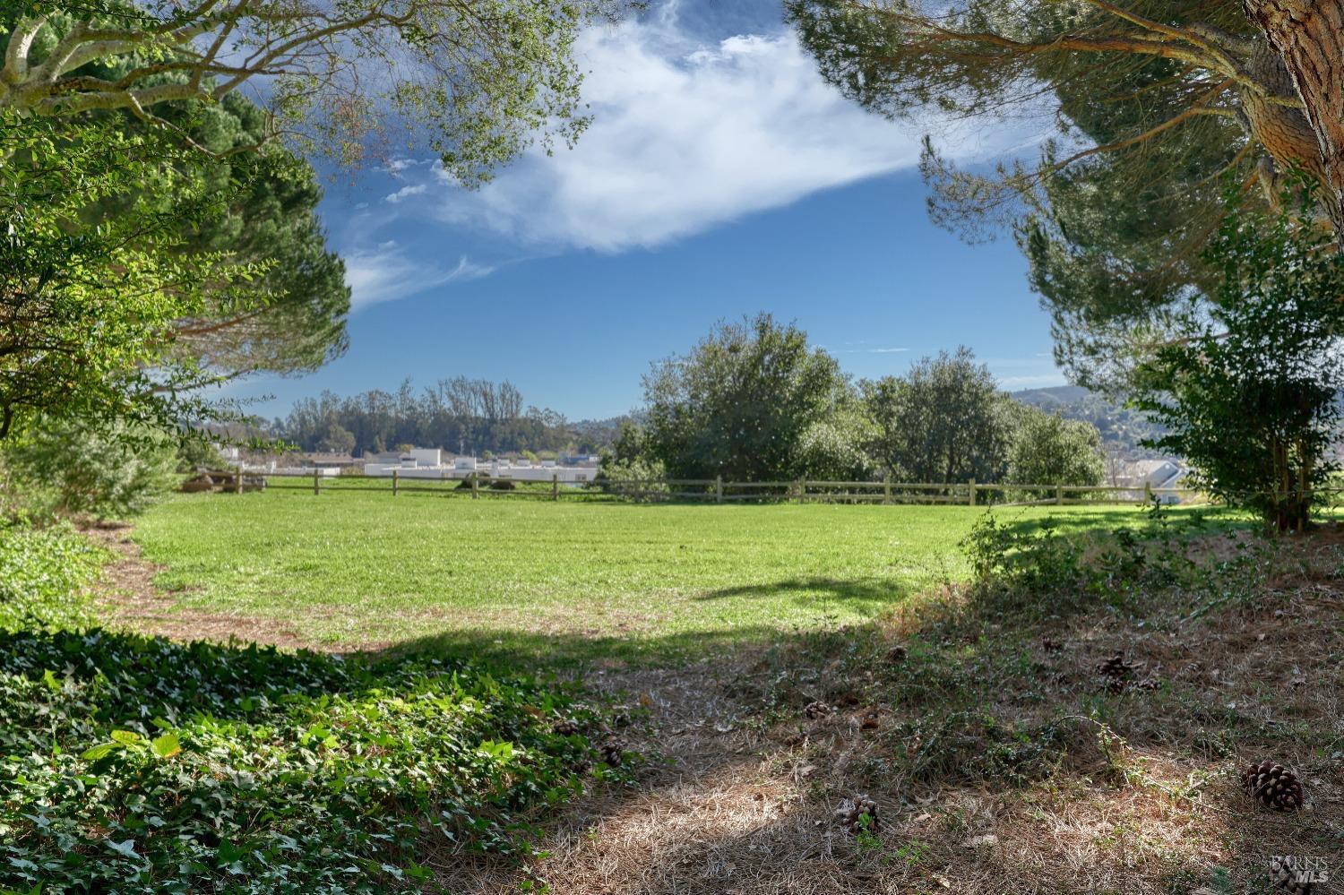 50 Eucalyptus Knoll St