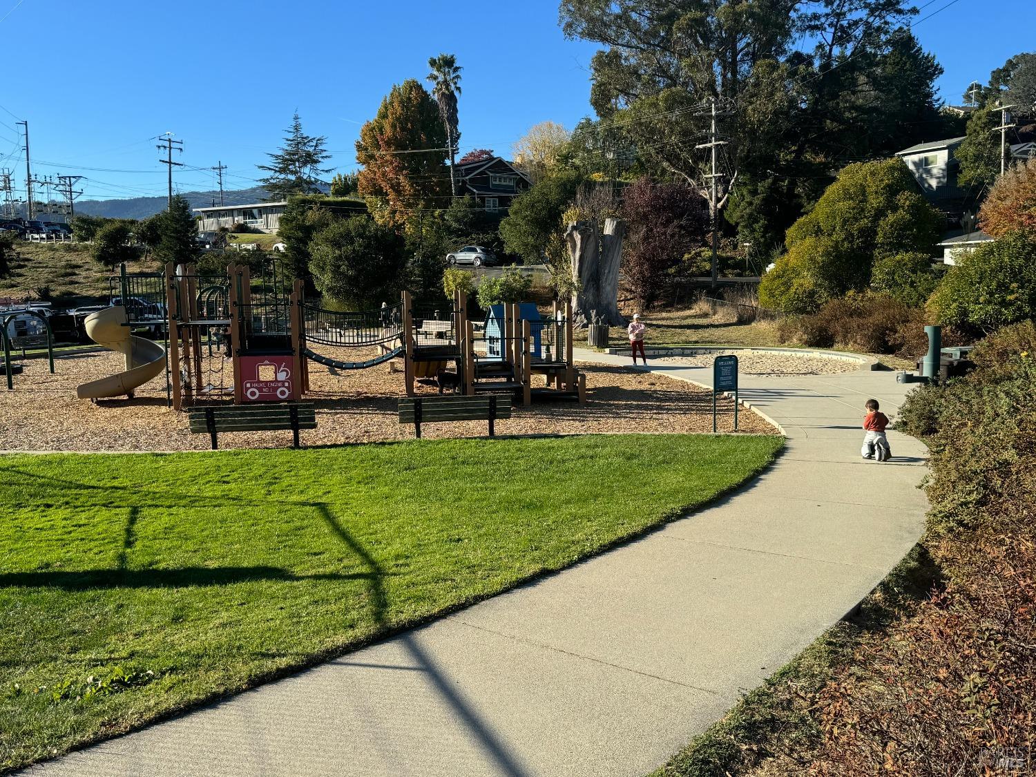 50 Eucalyptus Knoll St