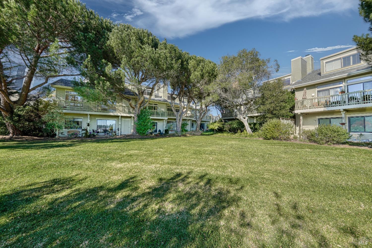 50 Eucalyptus Knoll St