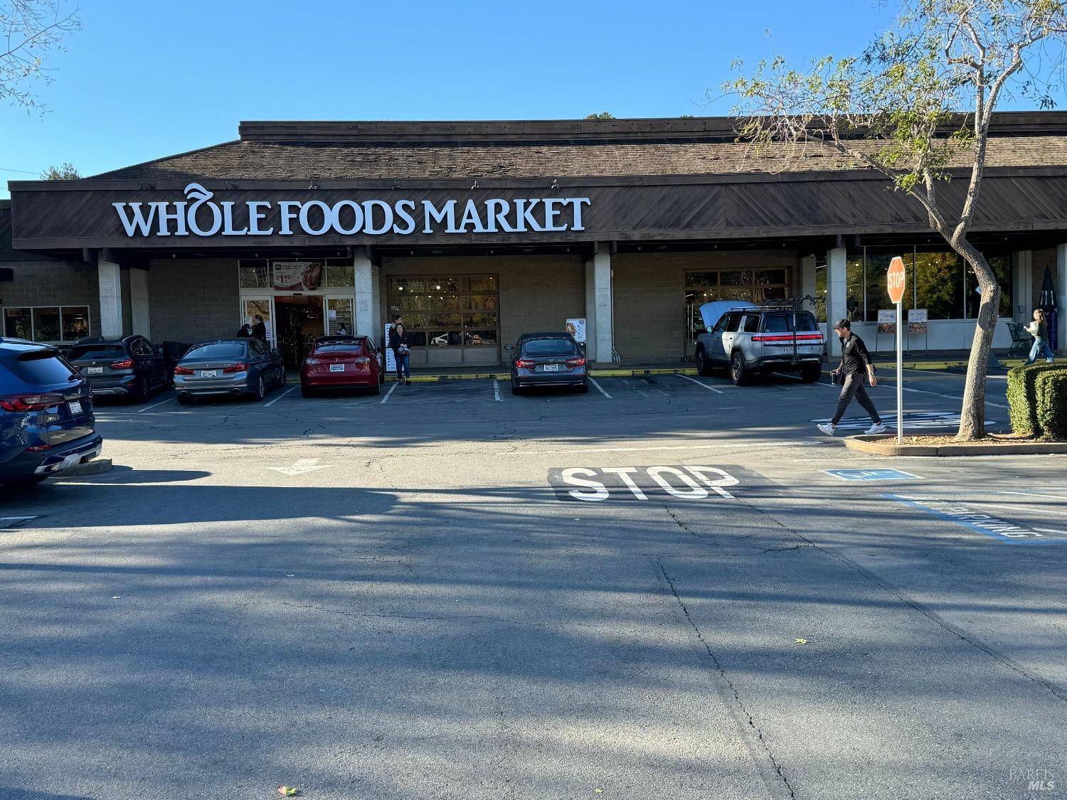 50 Eucalyptus Knoll St