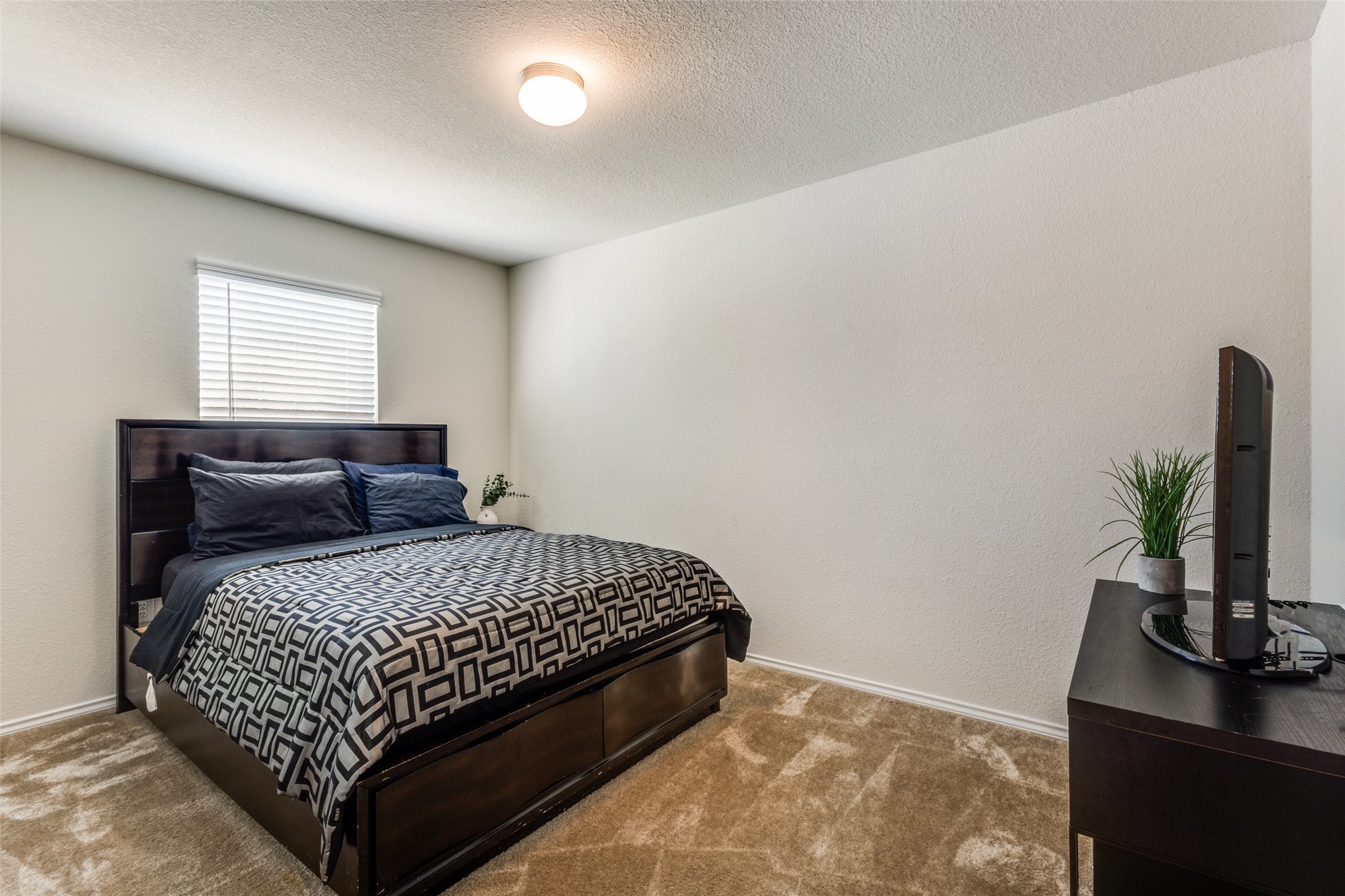 1233 Trace Drive