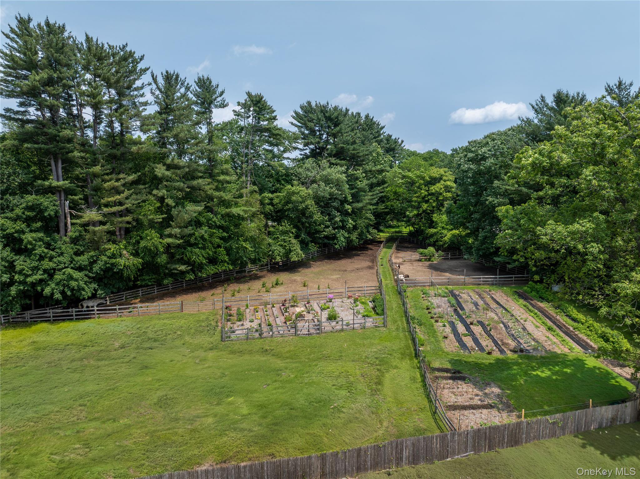 161 Buxton Road