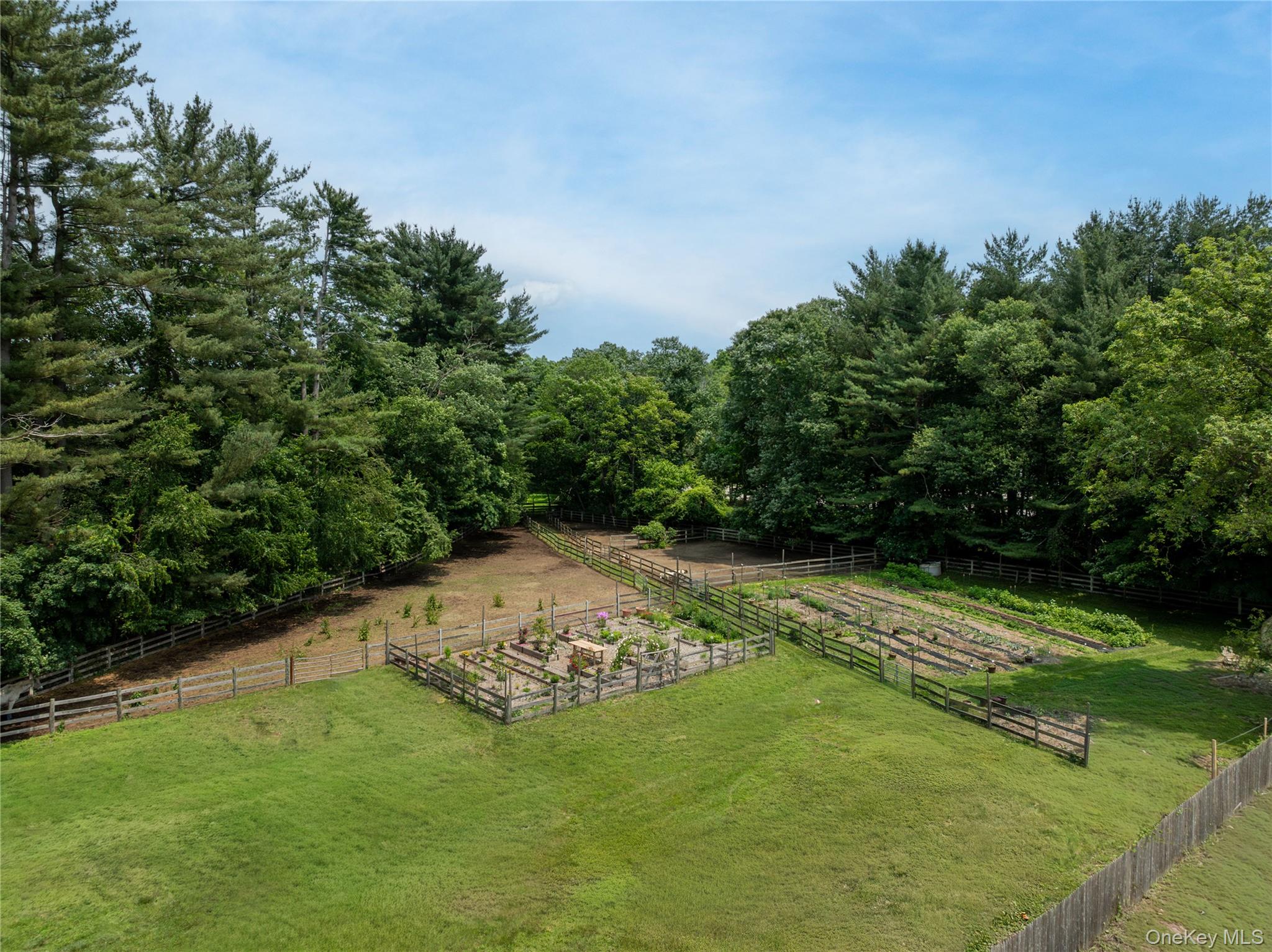 161 Buxton Road