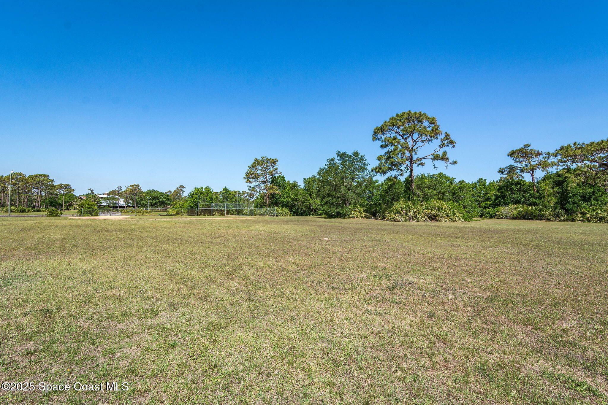 3445 Shady Run Road
