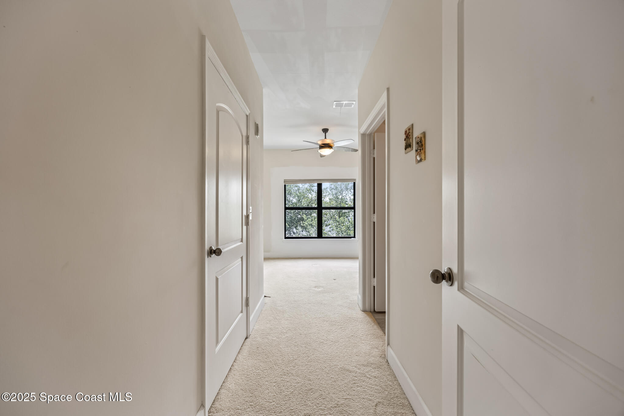 6450 Borasco Drive 3708