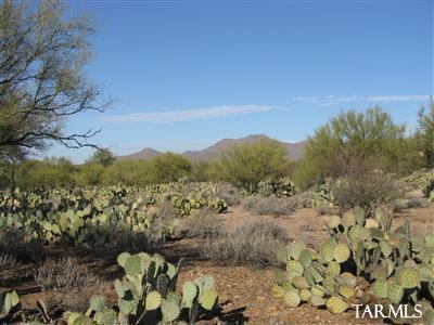 1460 N Sunkist Dr. Approx.