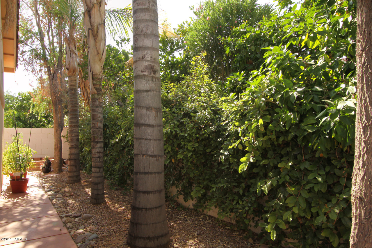 3180 W Northern Cross Trail