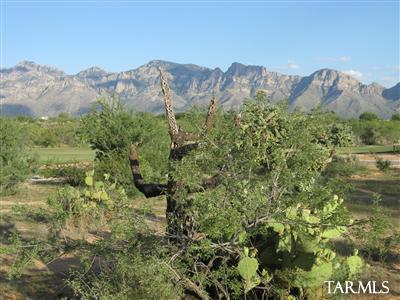 13784 N Keystone Springs Drive Unit: 59