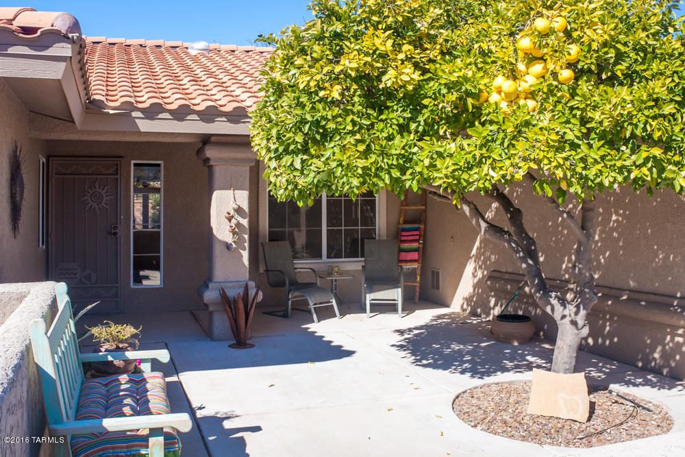 14679 N Windshade Drive