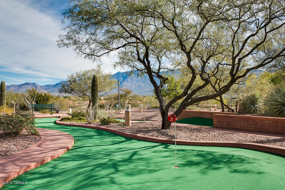 14679 N Windshade Drive