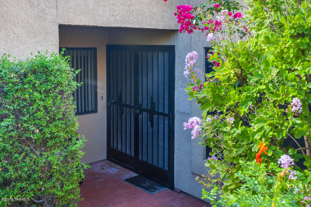 1159 E Camino Diestro