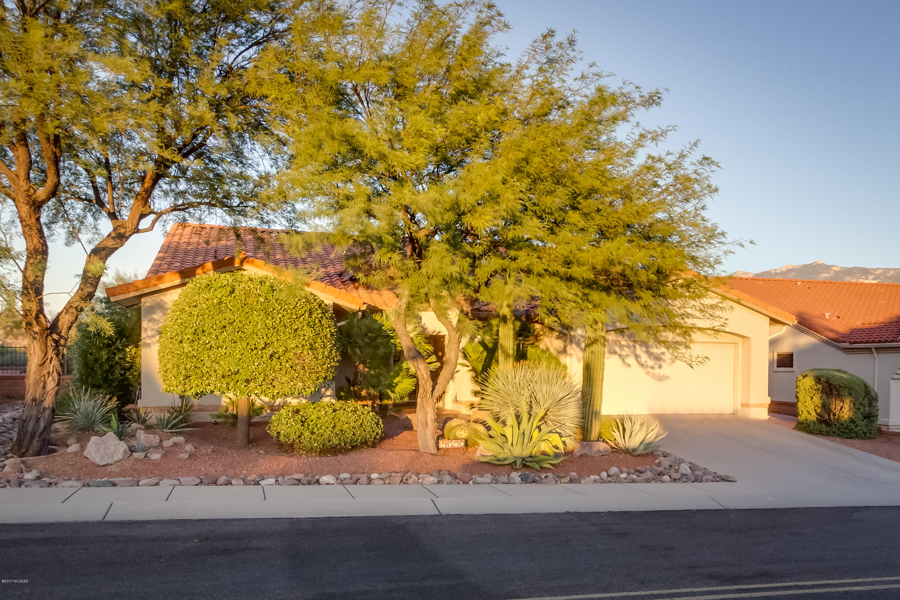 14270 N Lobelia Way