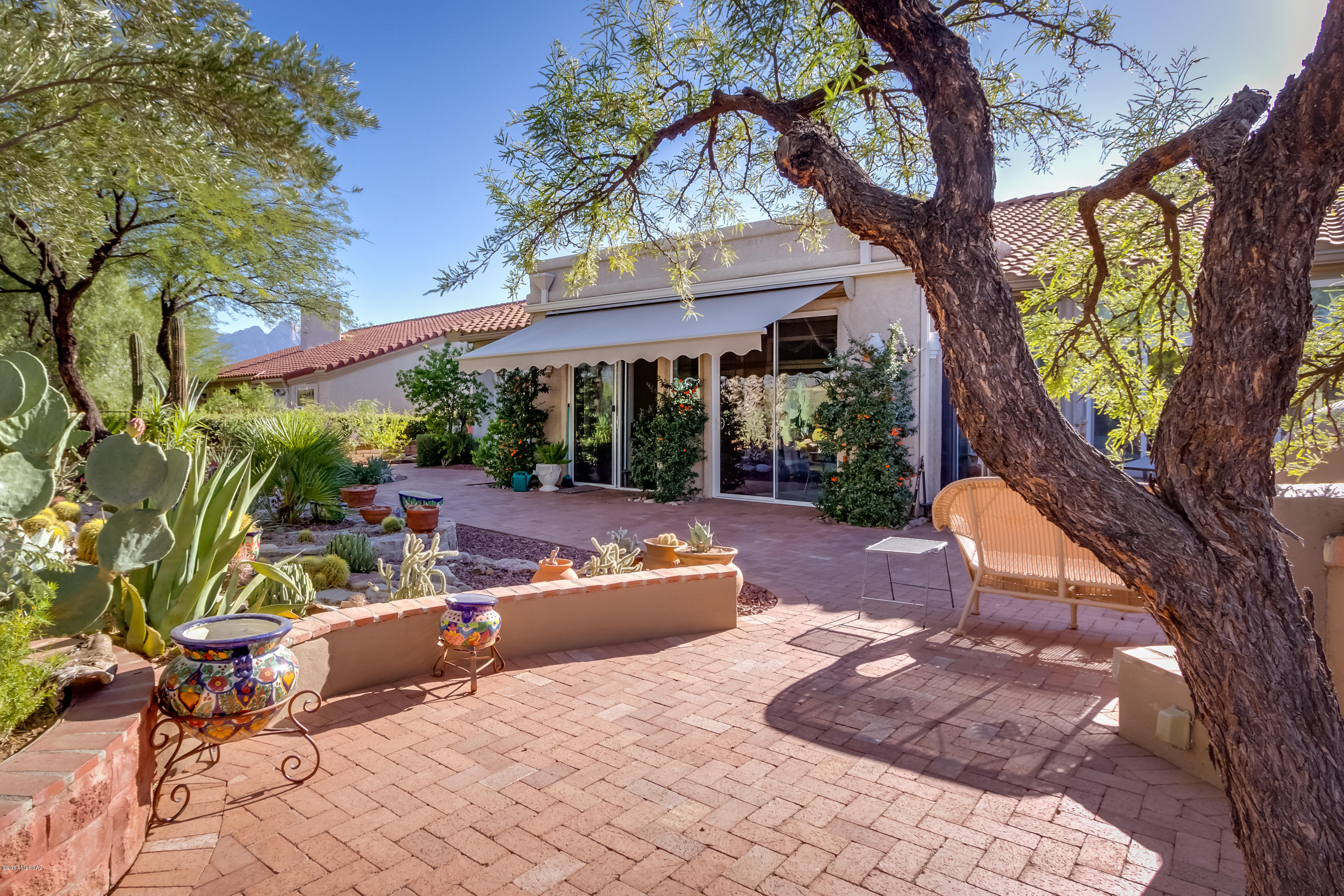 14270 N Lobelia Way