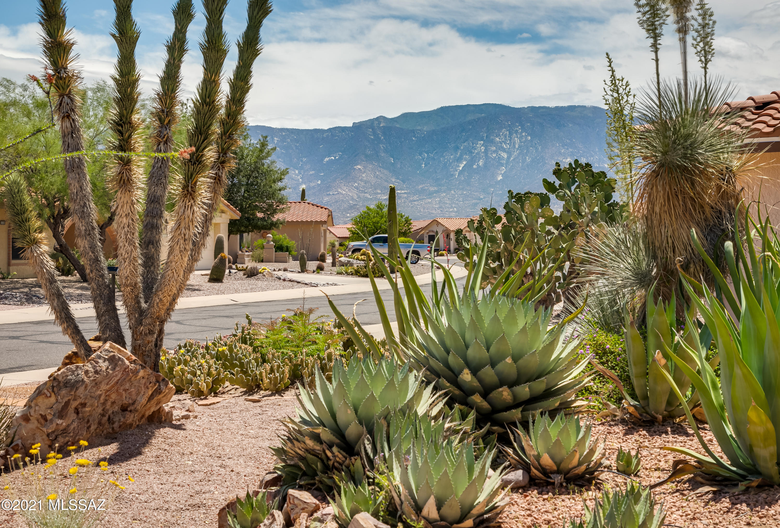 14307 N Alamo Canyon Drive