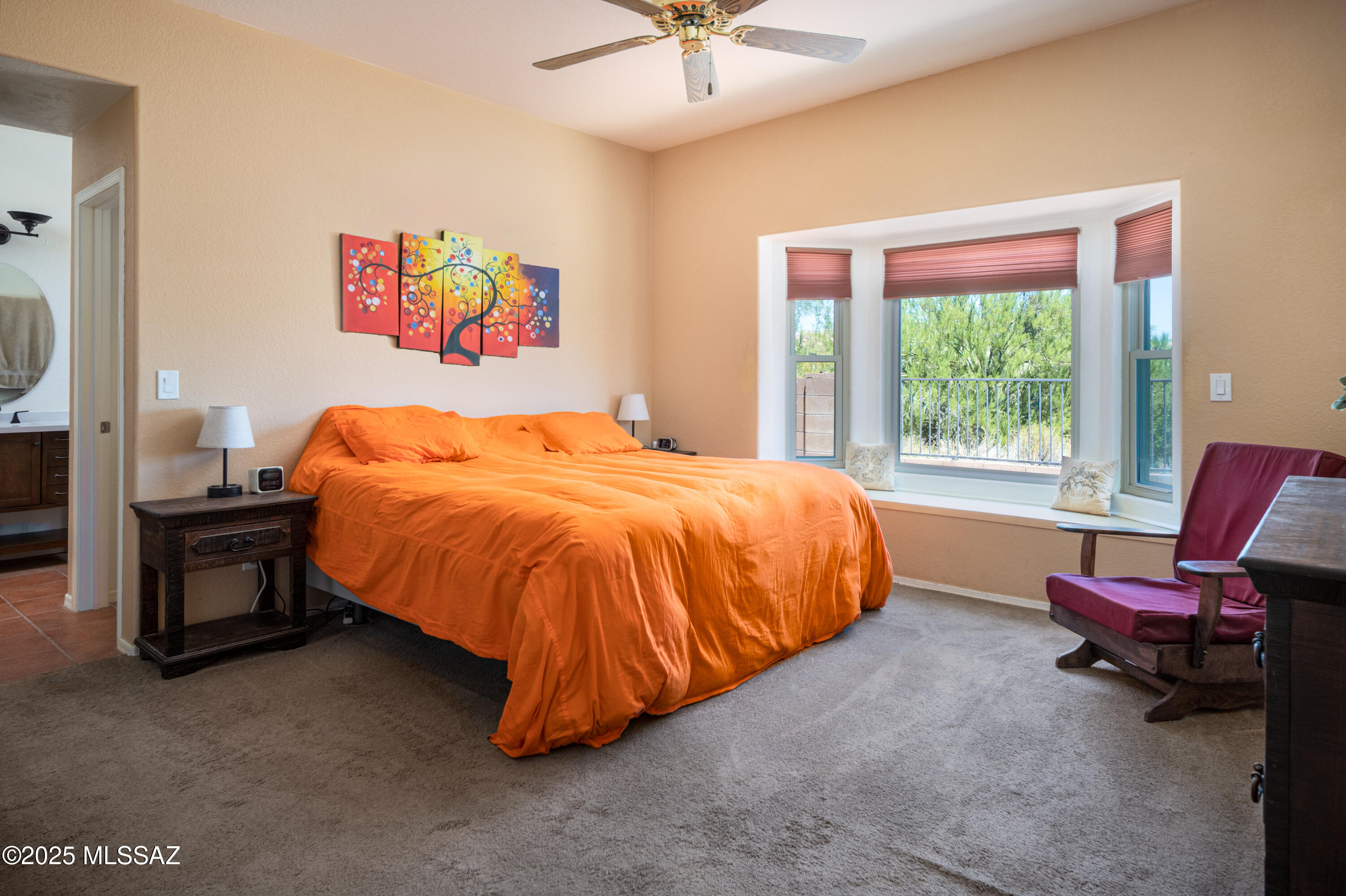 11732 N Cassiopeia Drive