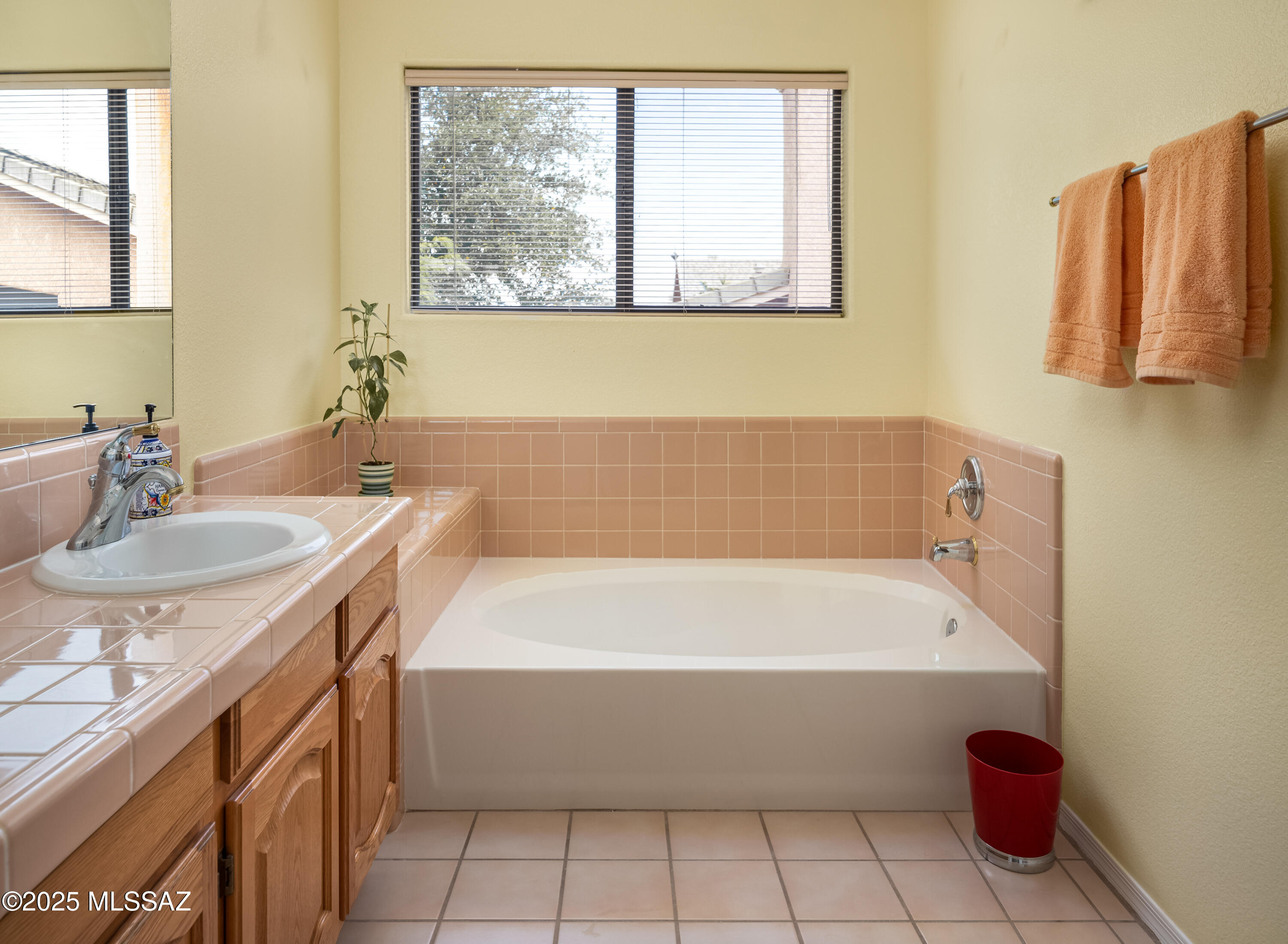 1133 W Masters Circle