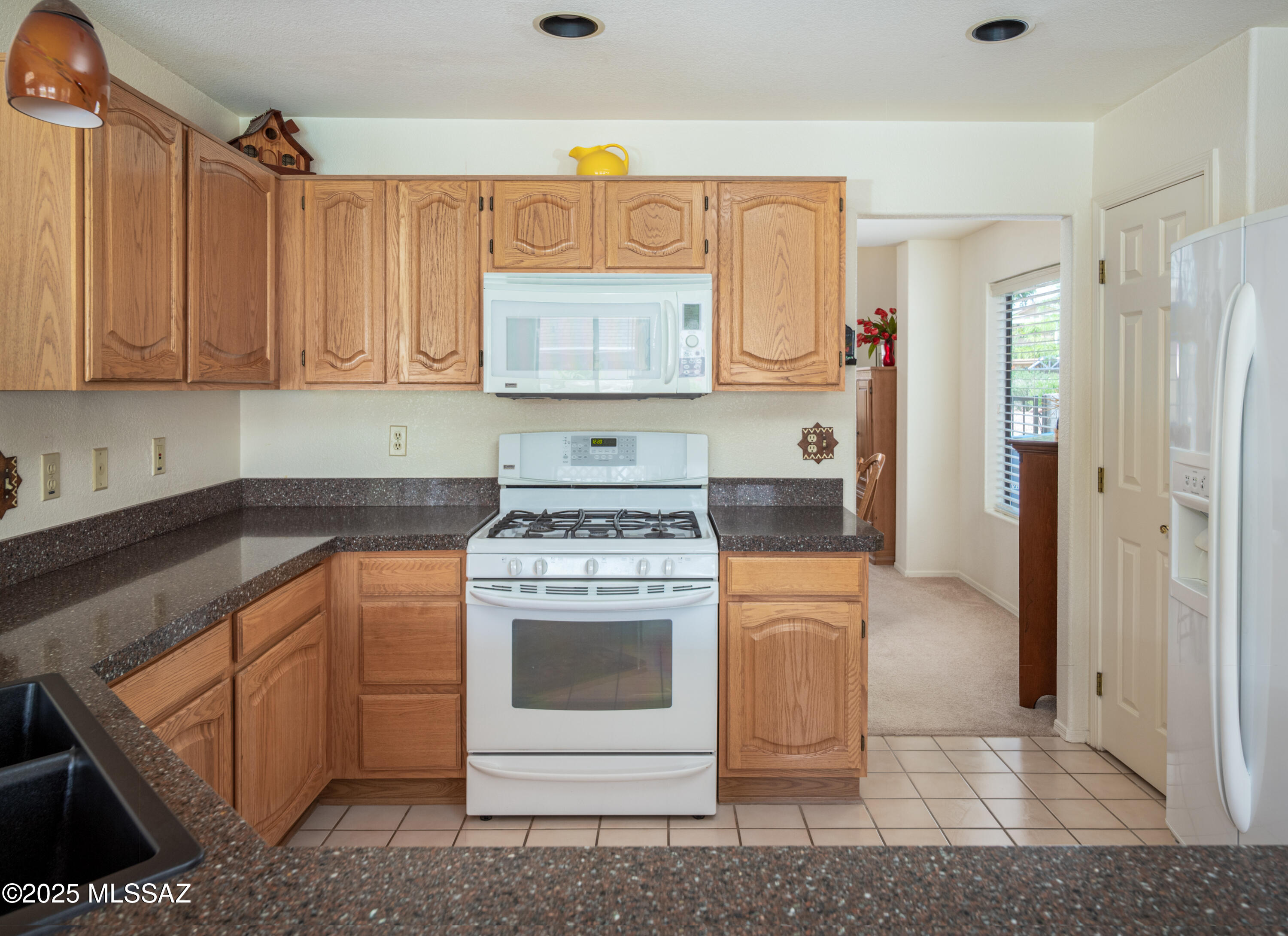 1133 W Masters Circle