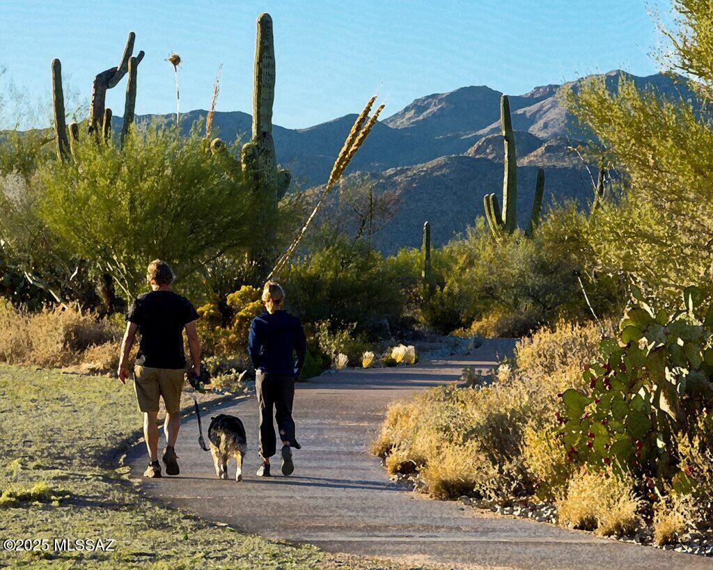 655 W Vistoso Highlands Drive Unit: 216