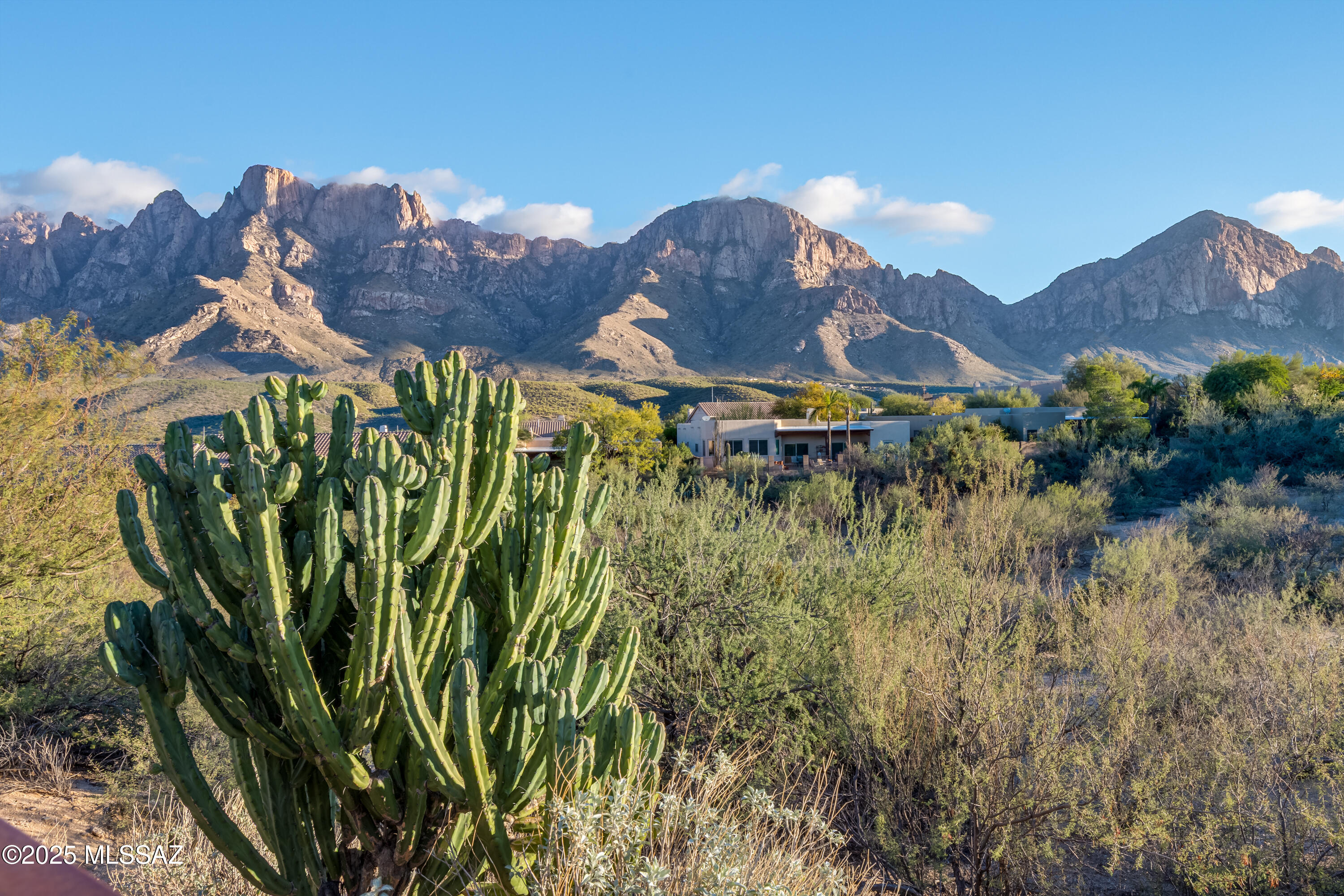 1744 E Ganymede Drive