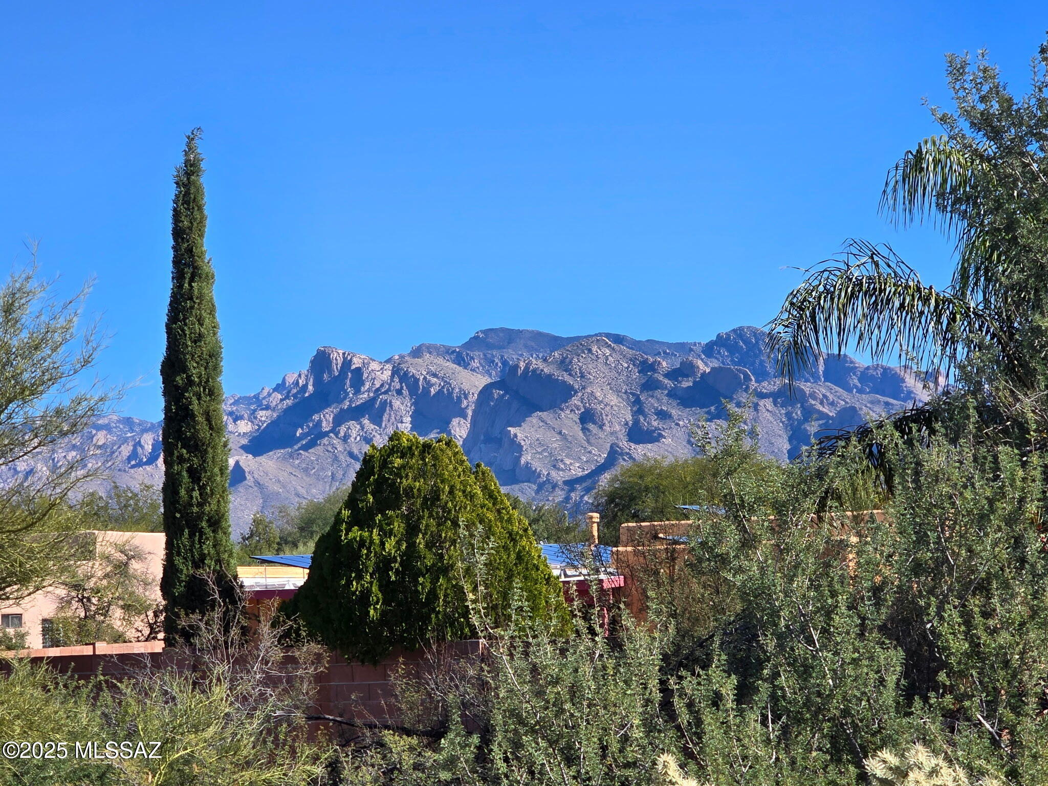 9132 N Ironwood Meadows Drive