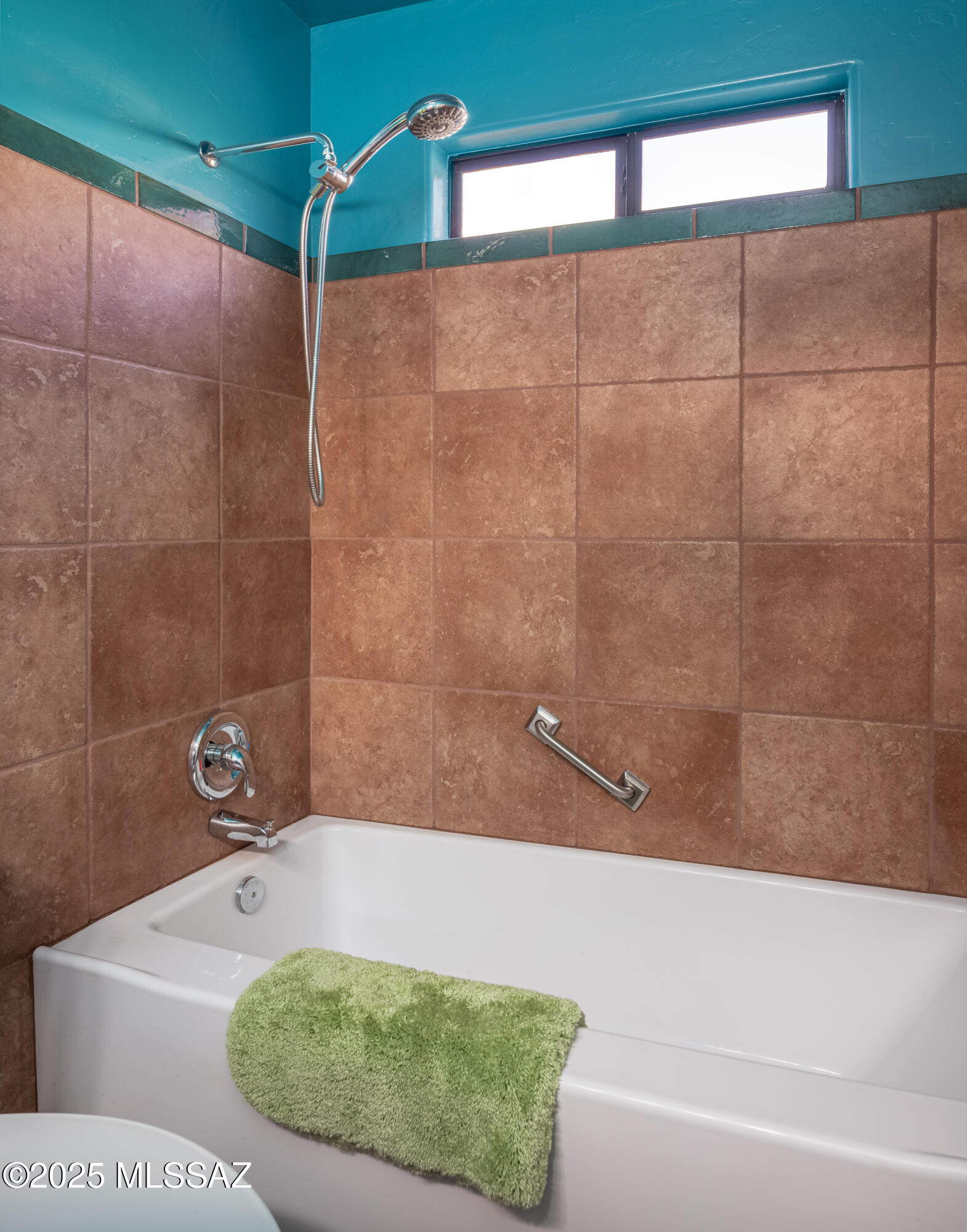 9132 N Ironwood Meadows Drive