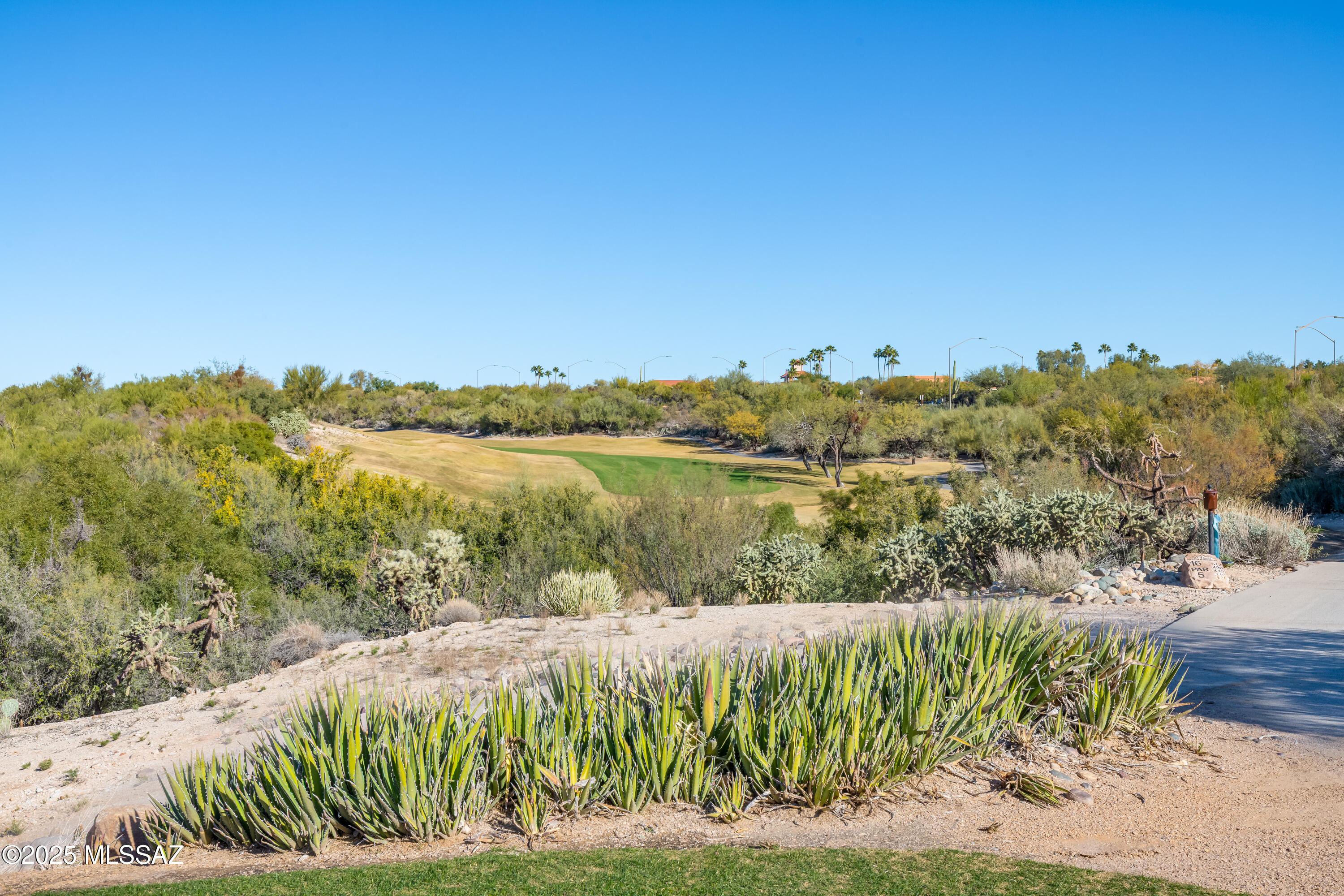 14032 N Green Tree Drive