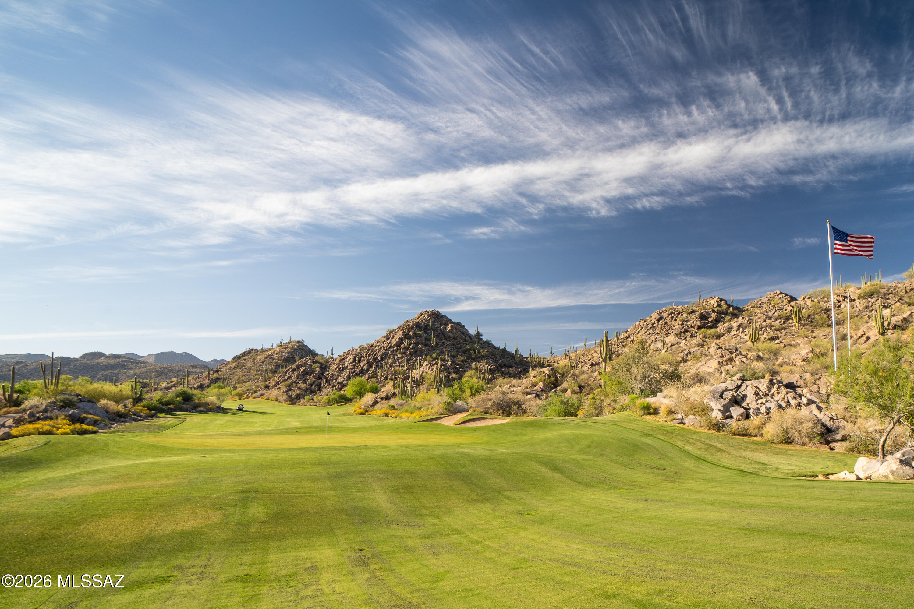 14356 N Stone View Place