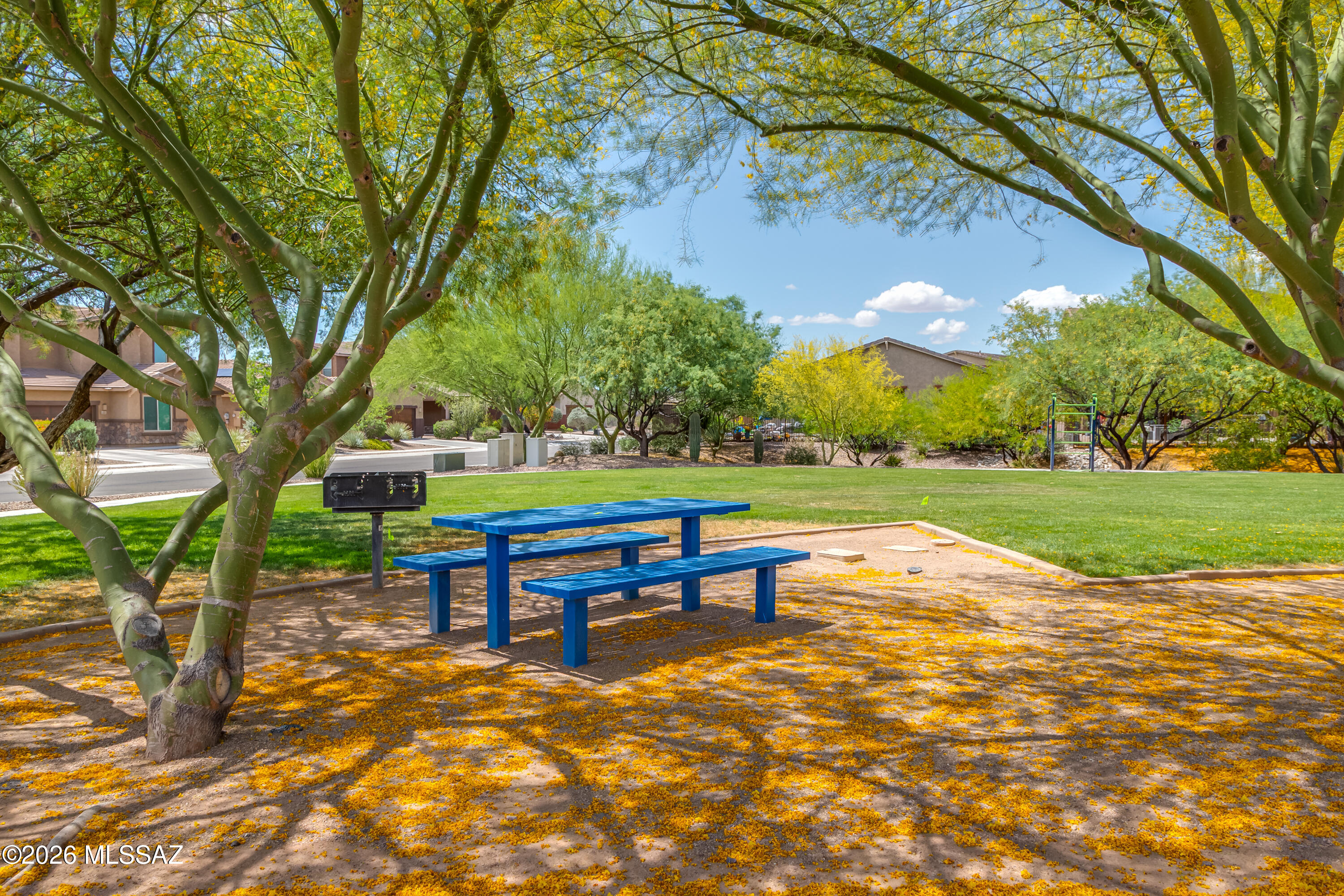 11085 N Hydrus Avenue