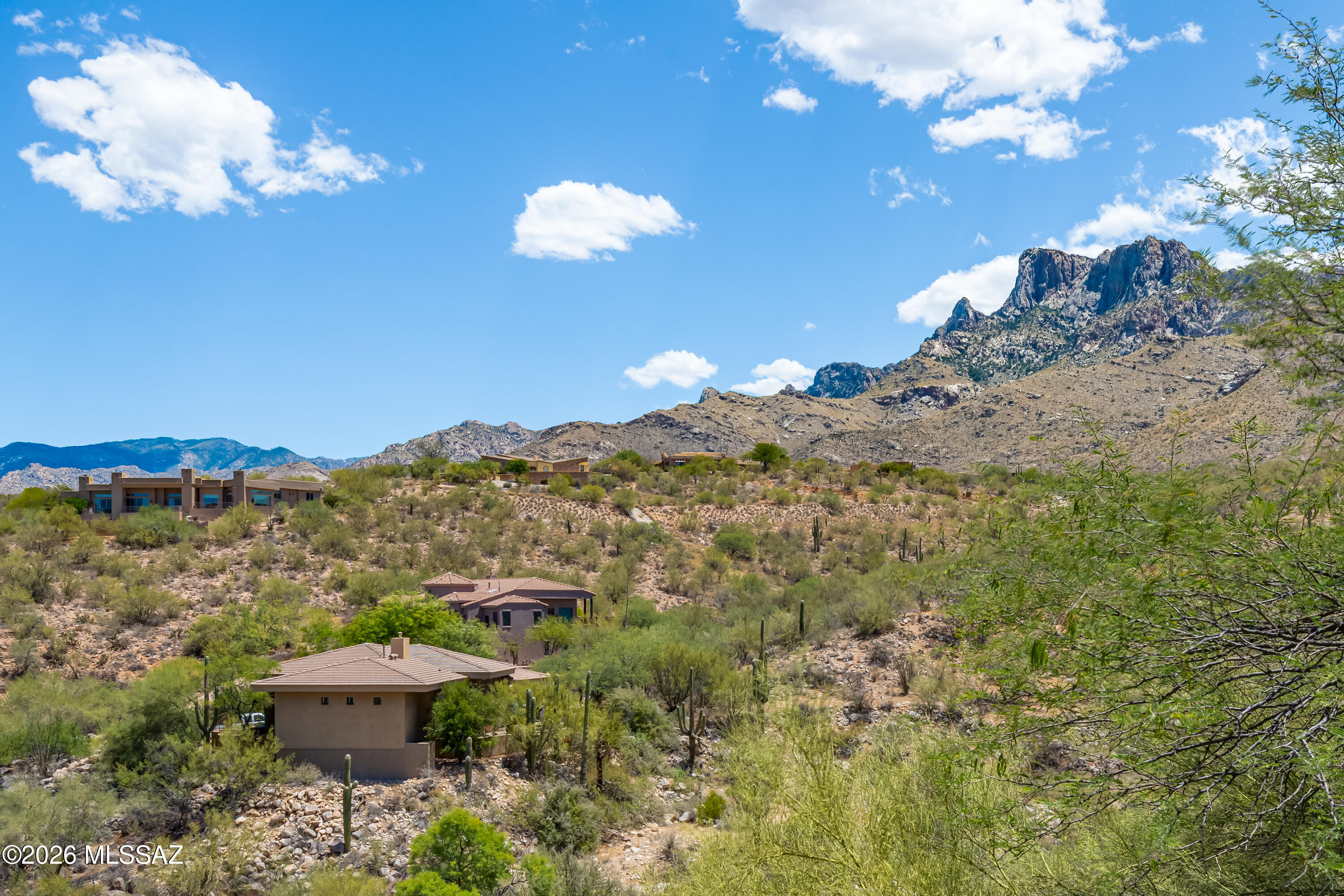 10290 N Calle Del Carnero