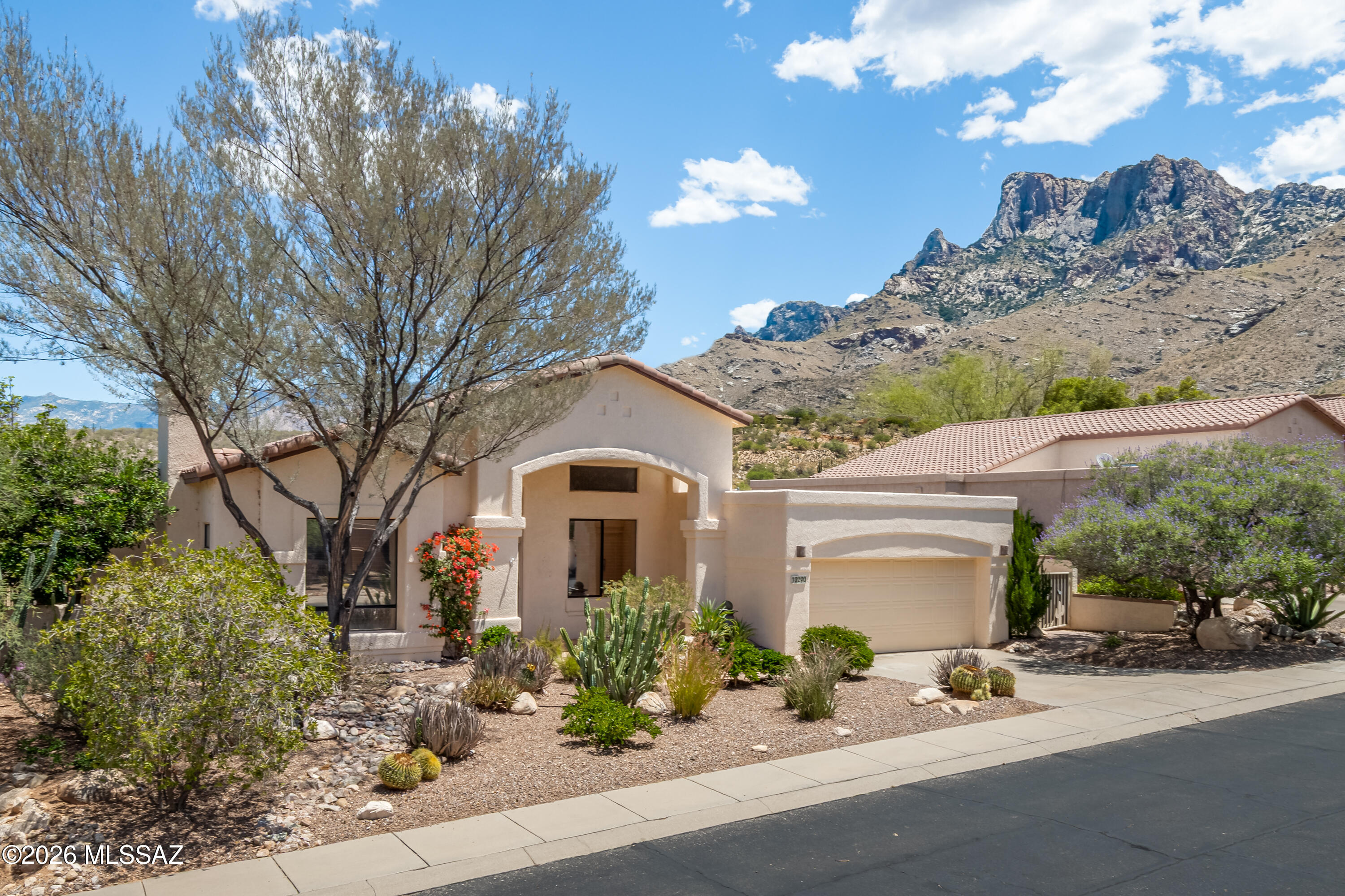 10290 N Calle Del Carnero