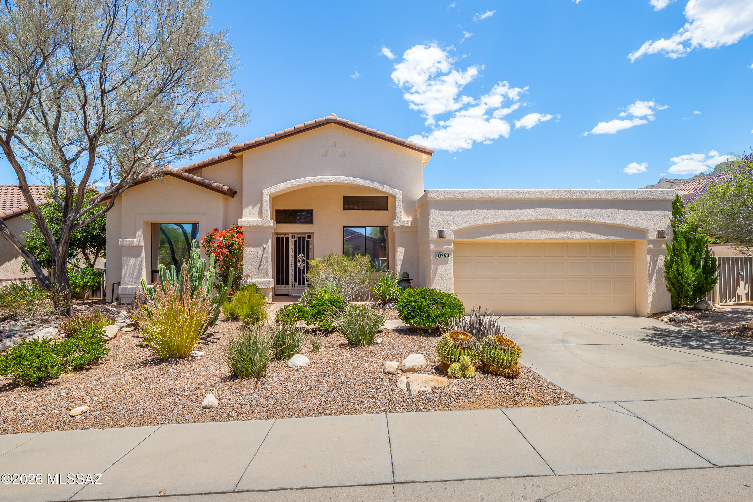 10290 N Calle Del Carnero