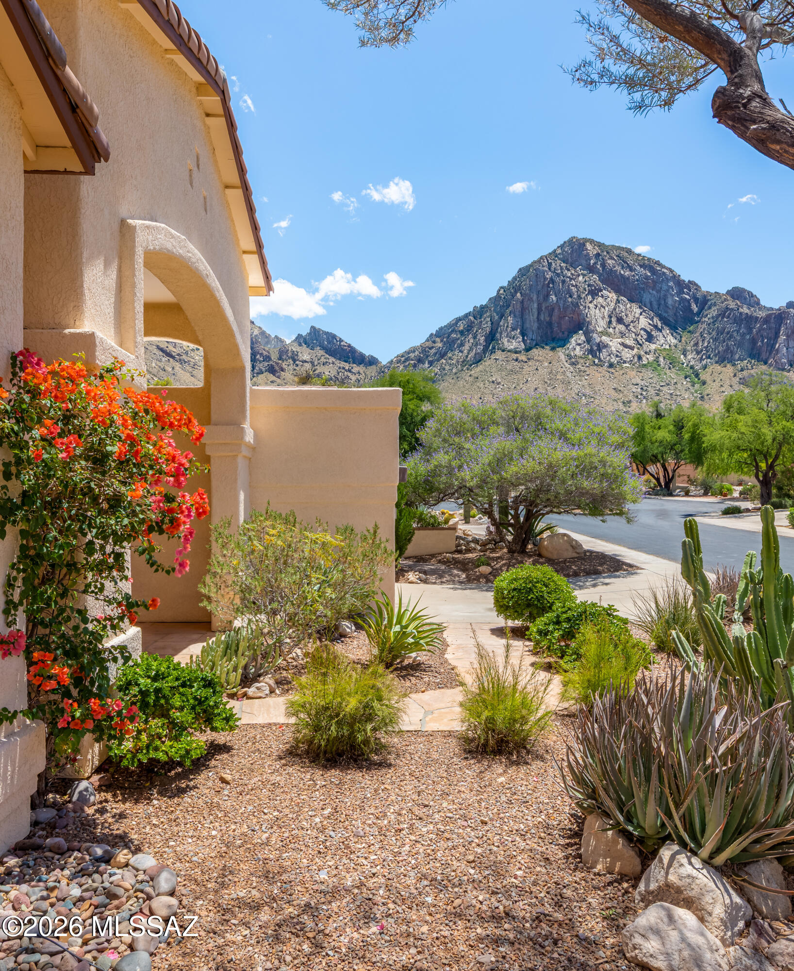 10290 N Calle Del Carnero
