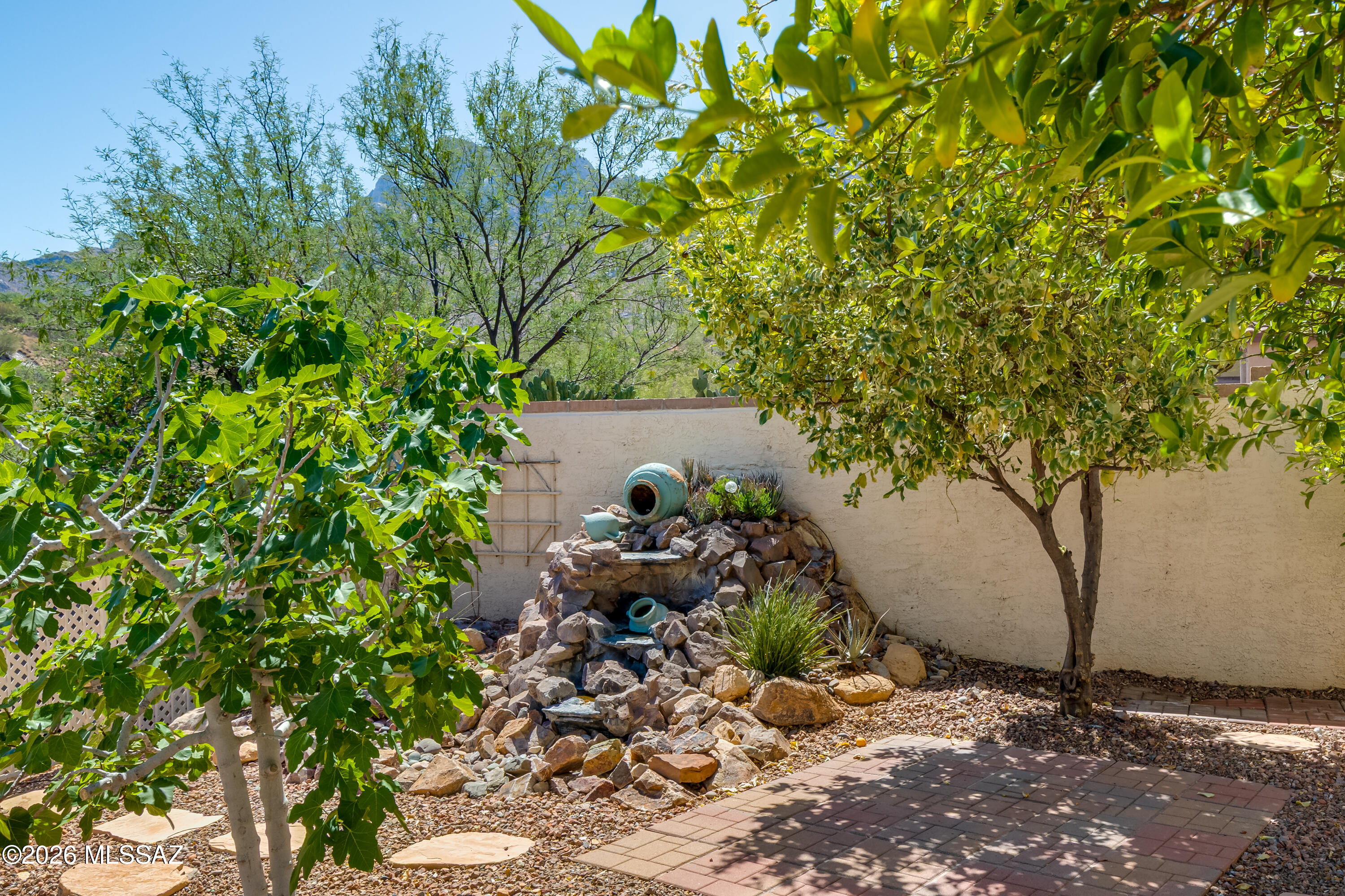 10290 N Calle Del Carnero