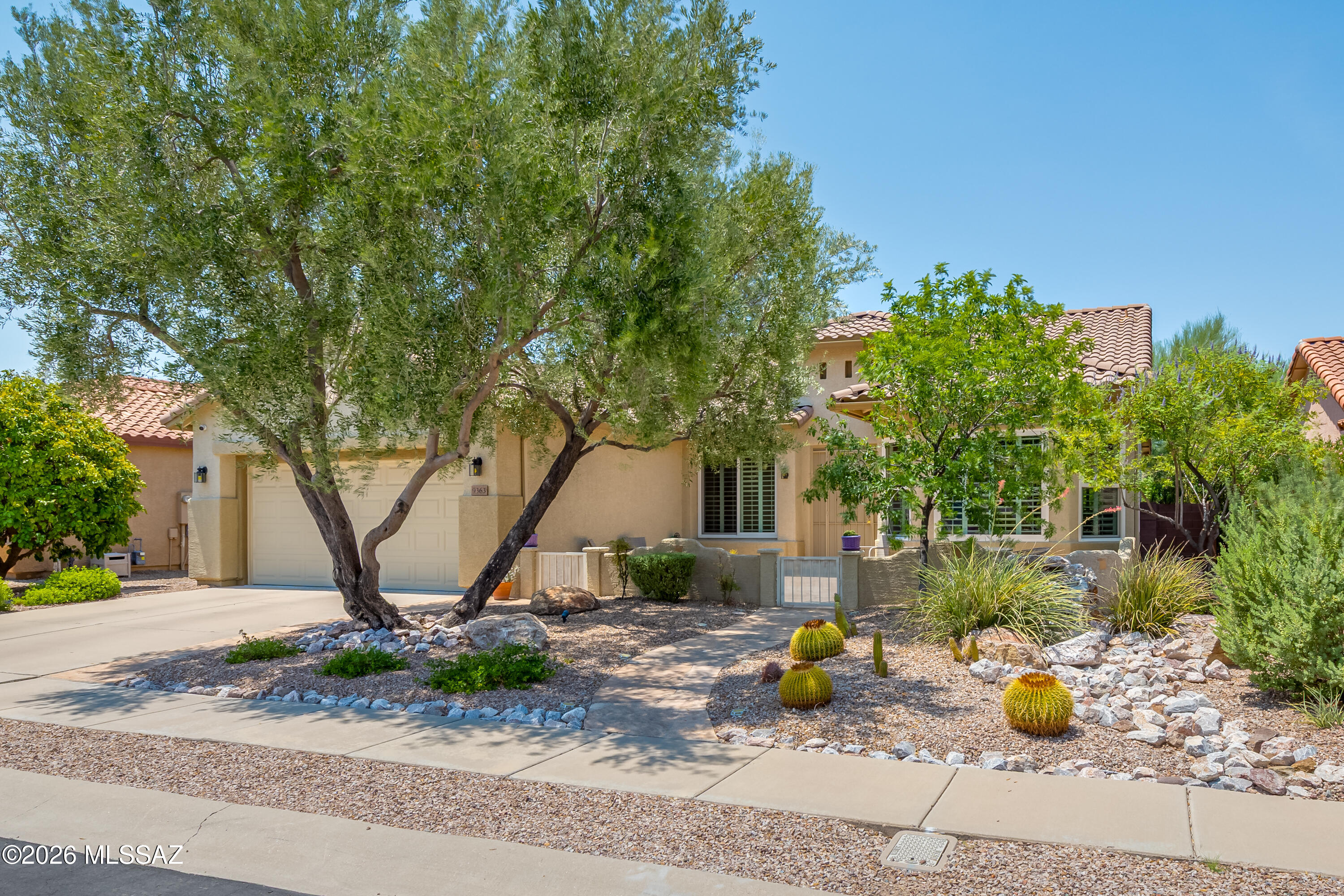 9363 N Sunflower Blossom Place