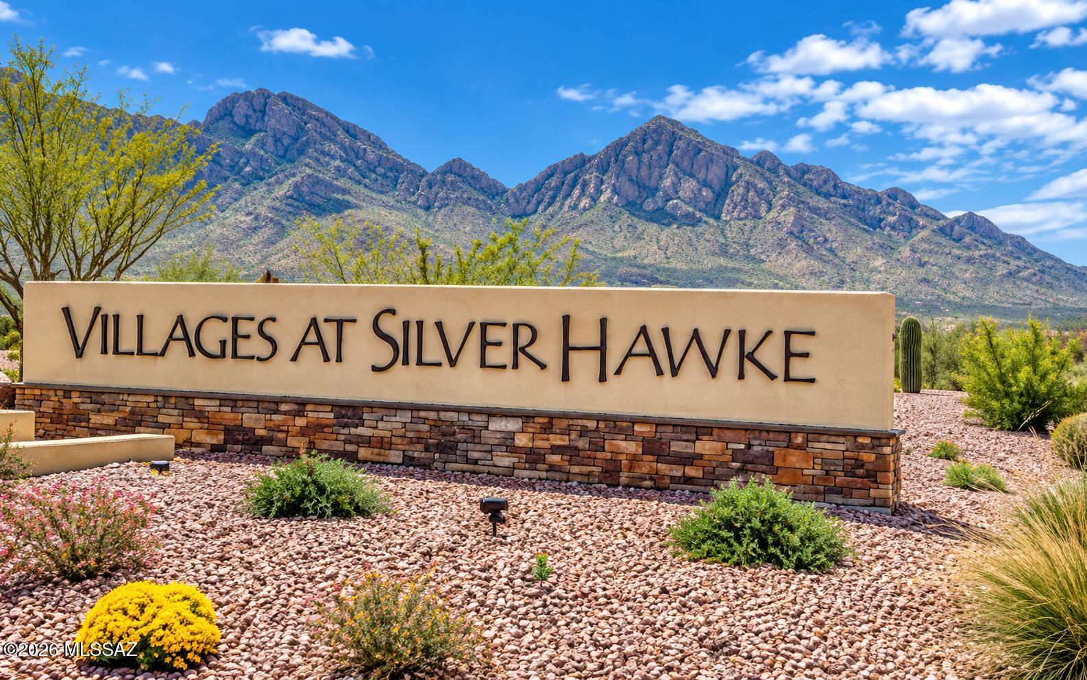11981 N Silver Village Place