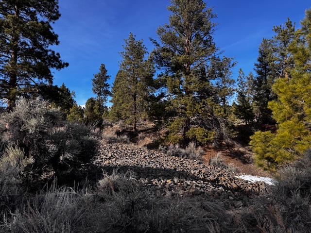 711 Rabbit Run