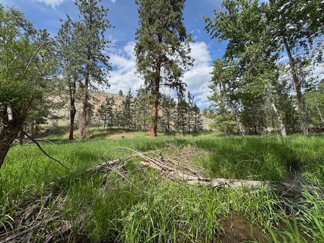 2858 Pheasant Lane