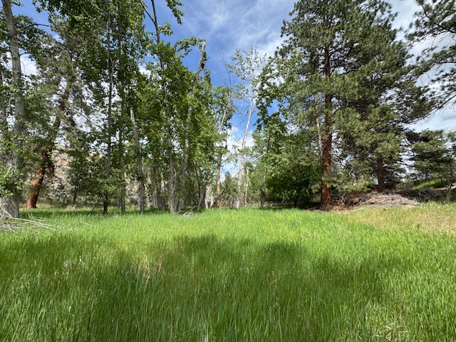 2858 Pheasant Lane
